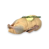 Raw chicken with butter and rosemary on a white background