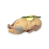 Raw chicken with butter and rosemary on a white background