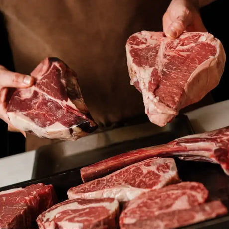 Freshly butchered Wagyu and Angus steaks with rich marbling, held by hands over a tray of premium beef cuts.