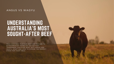 Angus vs Wagyu Beef: What’s the Difference?