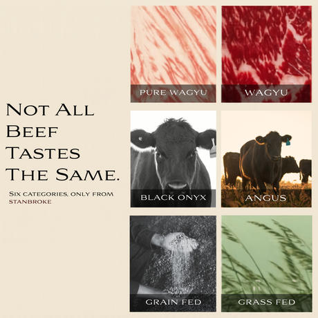 Six Beef Categories from Stanbroke