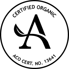 Logo 2