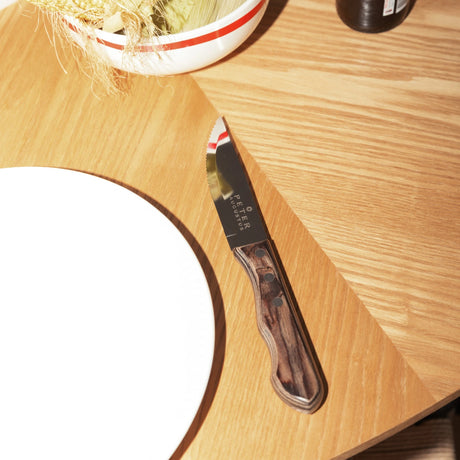Steak Knife Set - 4 piece