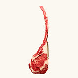 Black Onyx Tomahawk – SB 5