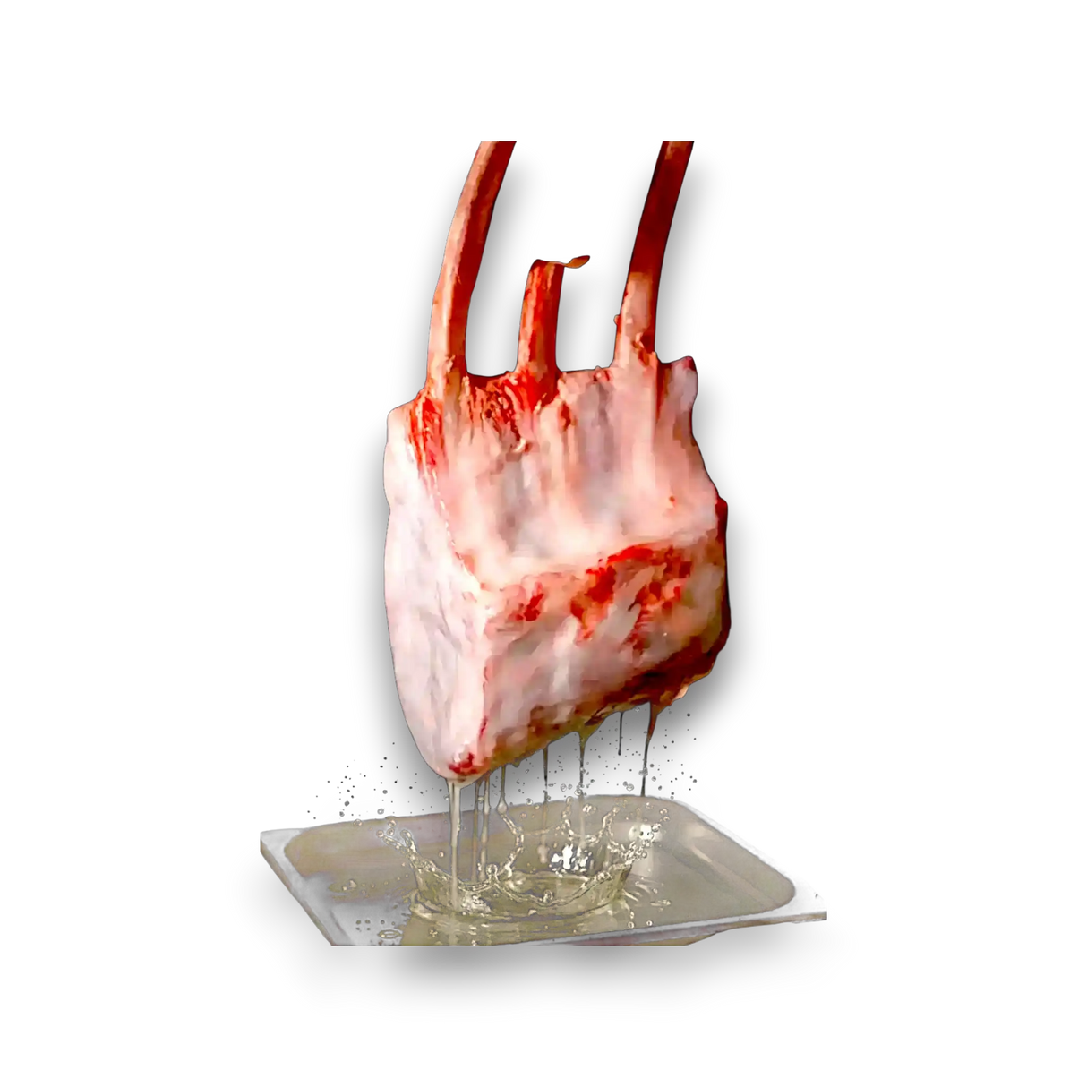 Wagyu Tomahawk SB 8-9