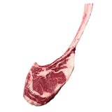 Raw Angus beef tomahawk steak with bone, marbled, on white background
