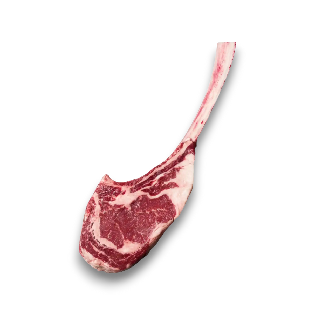 Angus Tomahawk - SB 3