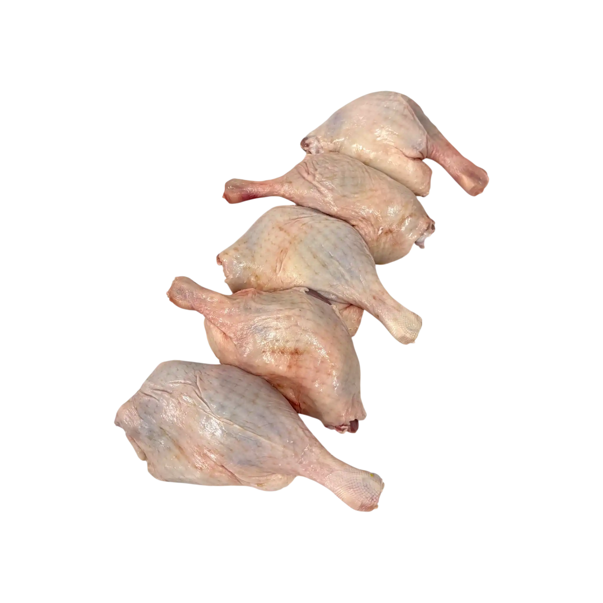 Five raw duck lega stacked