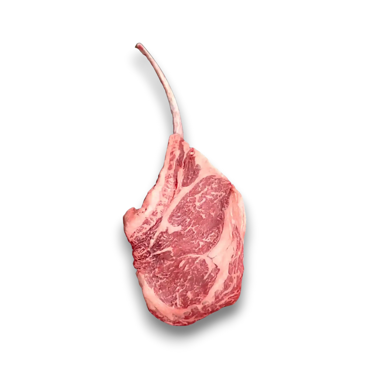 Premium Wagyu tomahawk steak with rich marbling, fresh from Queensland stations