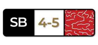 SB 4-5 marble score