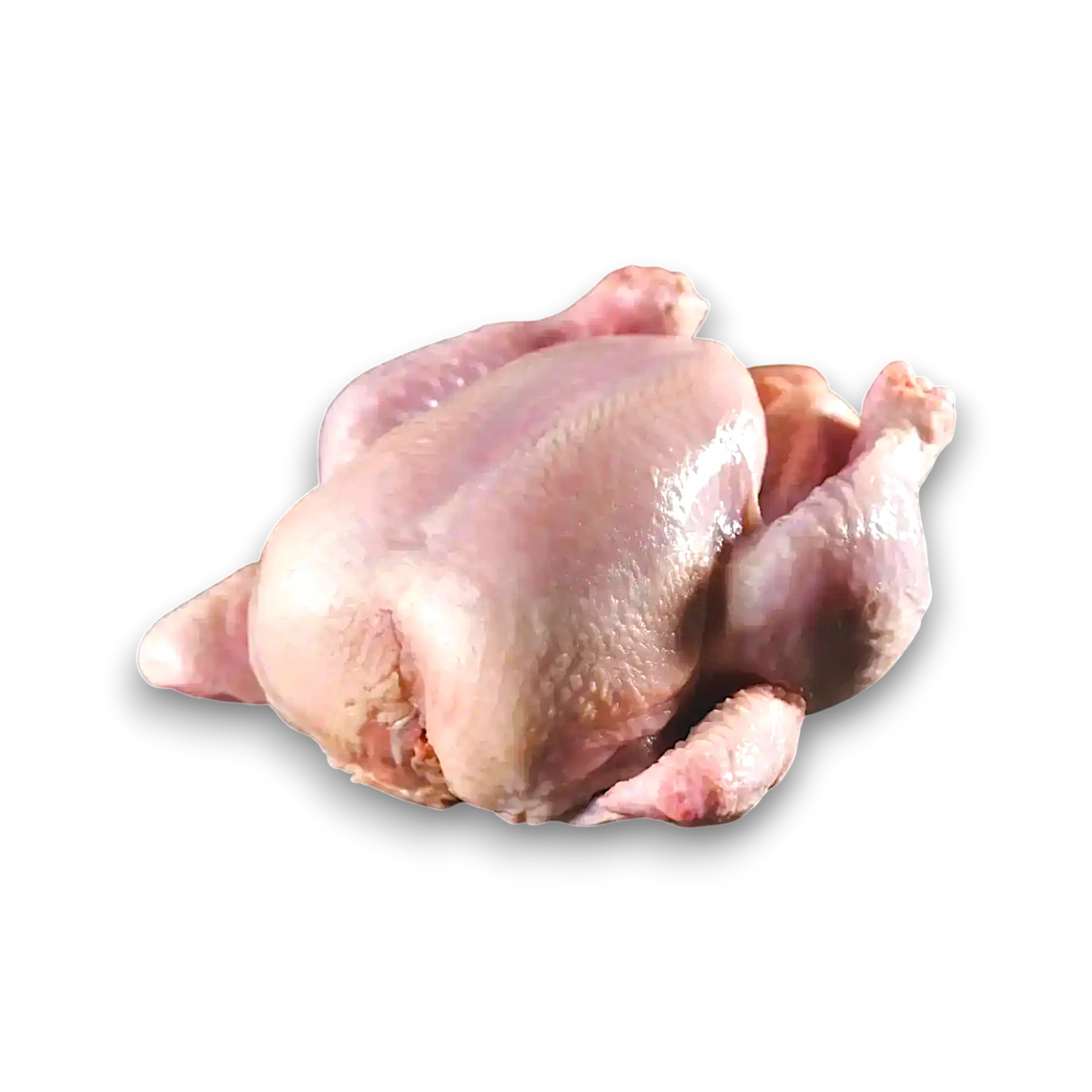 Free Range Whole Chicken 1.7kg - Peter Augustus Craft Butcher