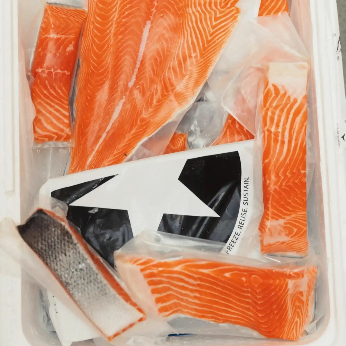 Fresh salmon fillets and portions in vacuum-sealed packaging, ready for delivery
