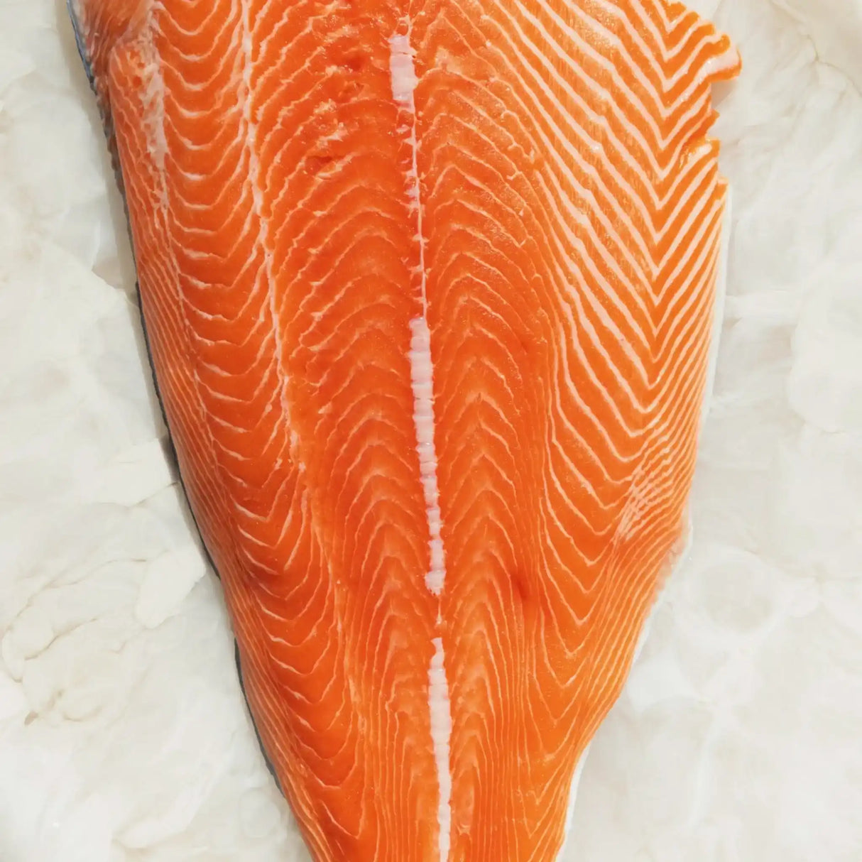 Fresh salmon fillet with rich orange color and marbling on white parchment paper