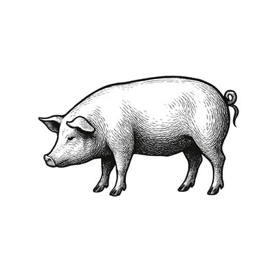 Pork