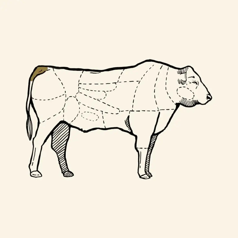 Oxtail