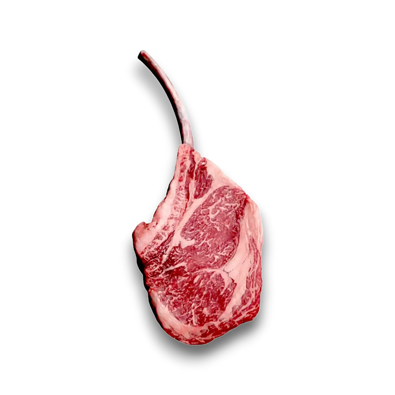 Marbled ribeye steak with long bone, fresh grass-fed beef cut